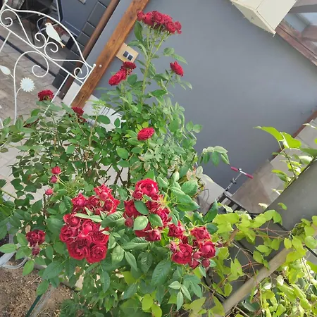 An Der Klosterkirche In Saale Homestay *